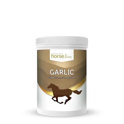 Garlic for horses