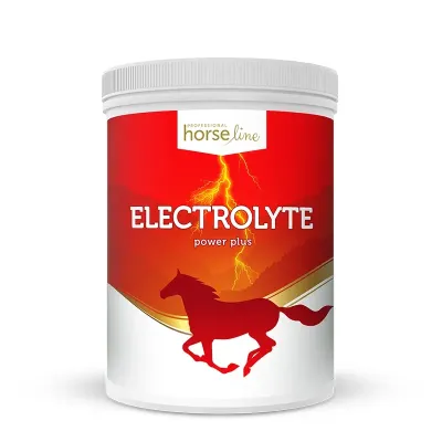Electrolyte PowerPlus - Electrolytes for horses