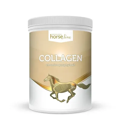 Collagen for Horses