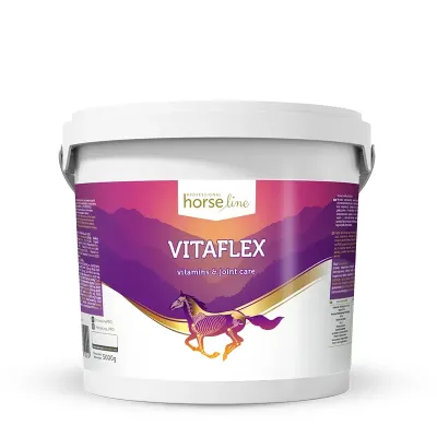 VitaFlex - essential vitamins & minerals with joint support