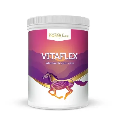 VitaFlex - essential vitamins & minerals with joint support