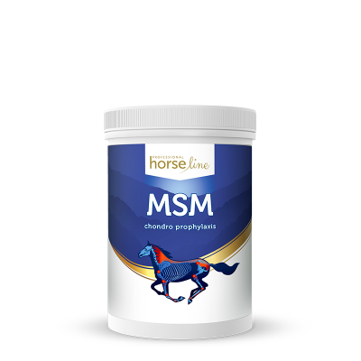 MSM