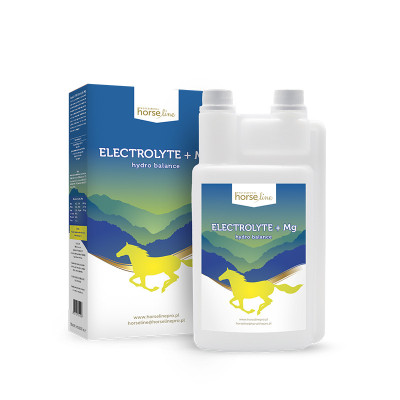 Electrolyte + Mg - hydro balance