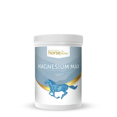 MagnesiumMax – Muscle Recovery and Nervous System Support