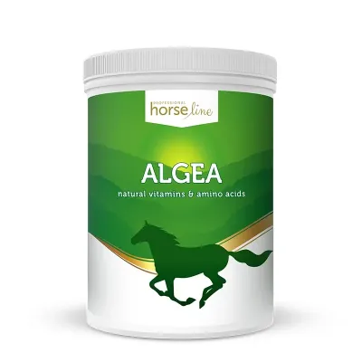 Algea