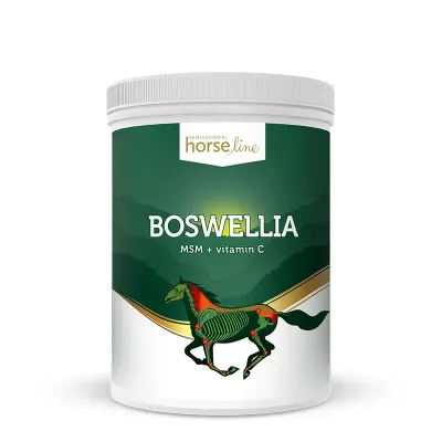 Boswellia Serrata - Boswellia serrata for horses