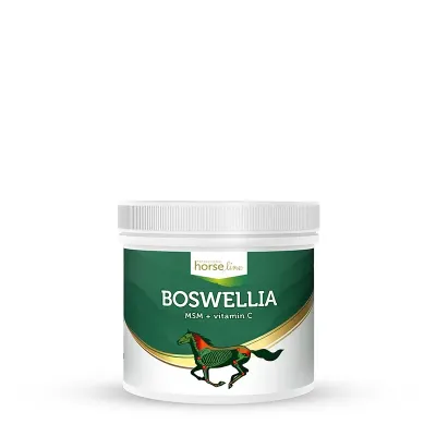 Boswellia Serrata - Boswellia serrata for horses