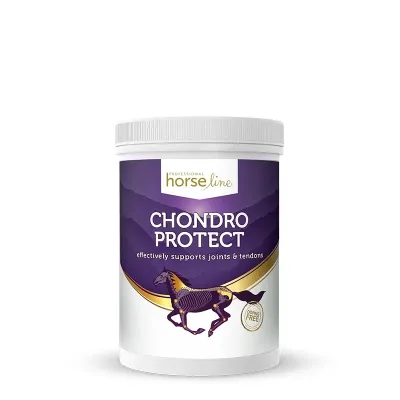 ChondroProtect