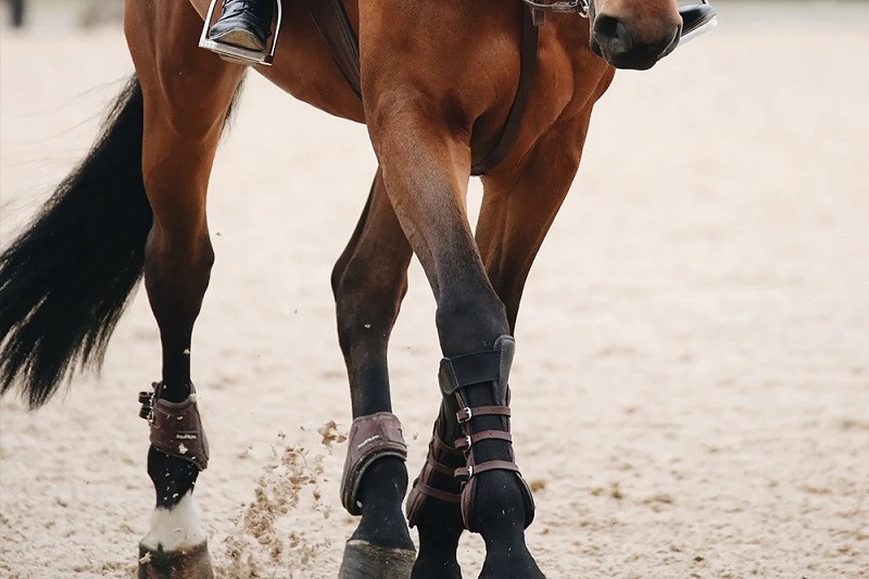 Where do chips come from and what are they?