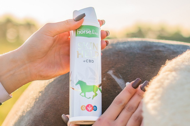 Hemp Oil in Products for Horses